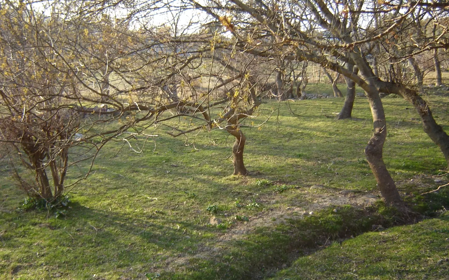 Land In Supetarska Draga, Croatia (6.500 M²)