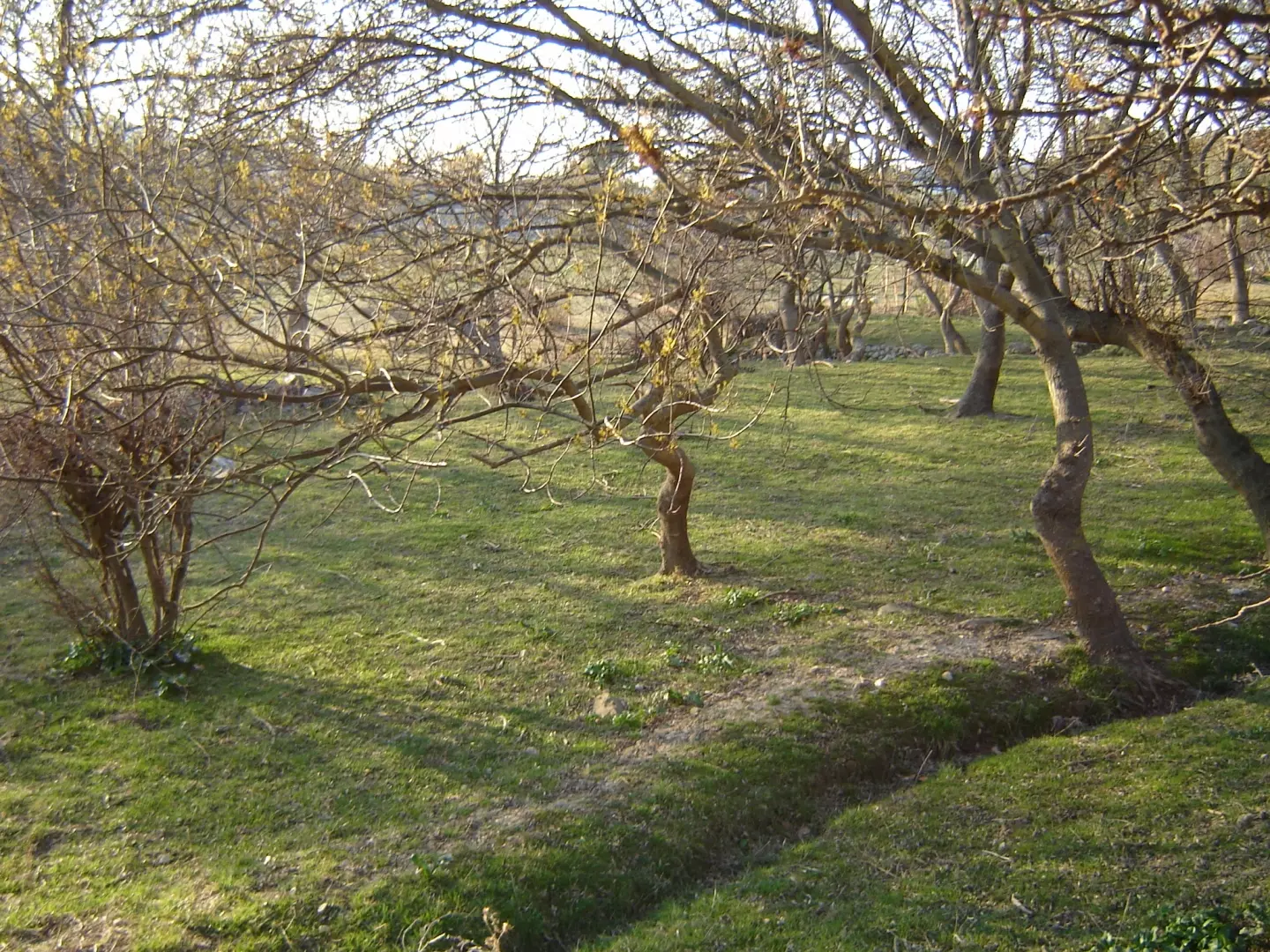 Land In Supetarska Draga, Croatia (6.500 M²)