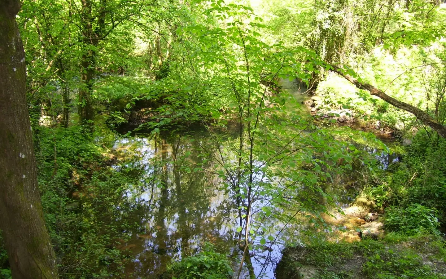 Land In Severin Na Kupi, Croatia (73.000 M²)