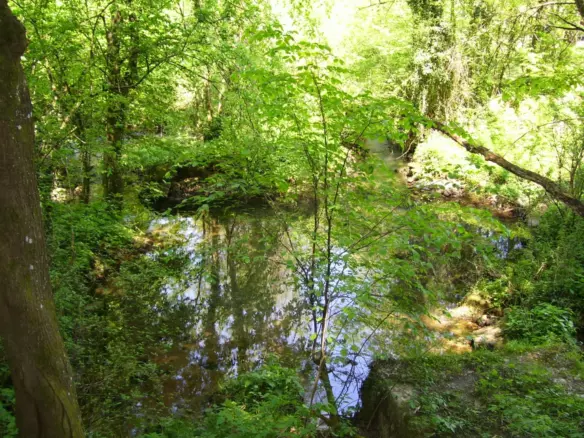 Land In Severin Na Kupi, Croatia (73.000 M²)