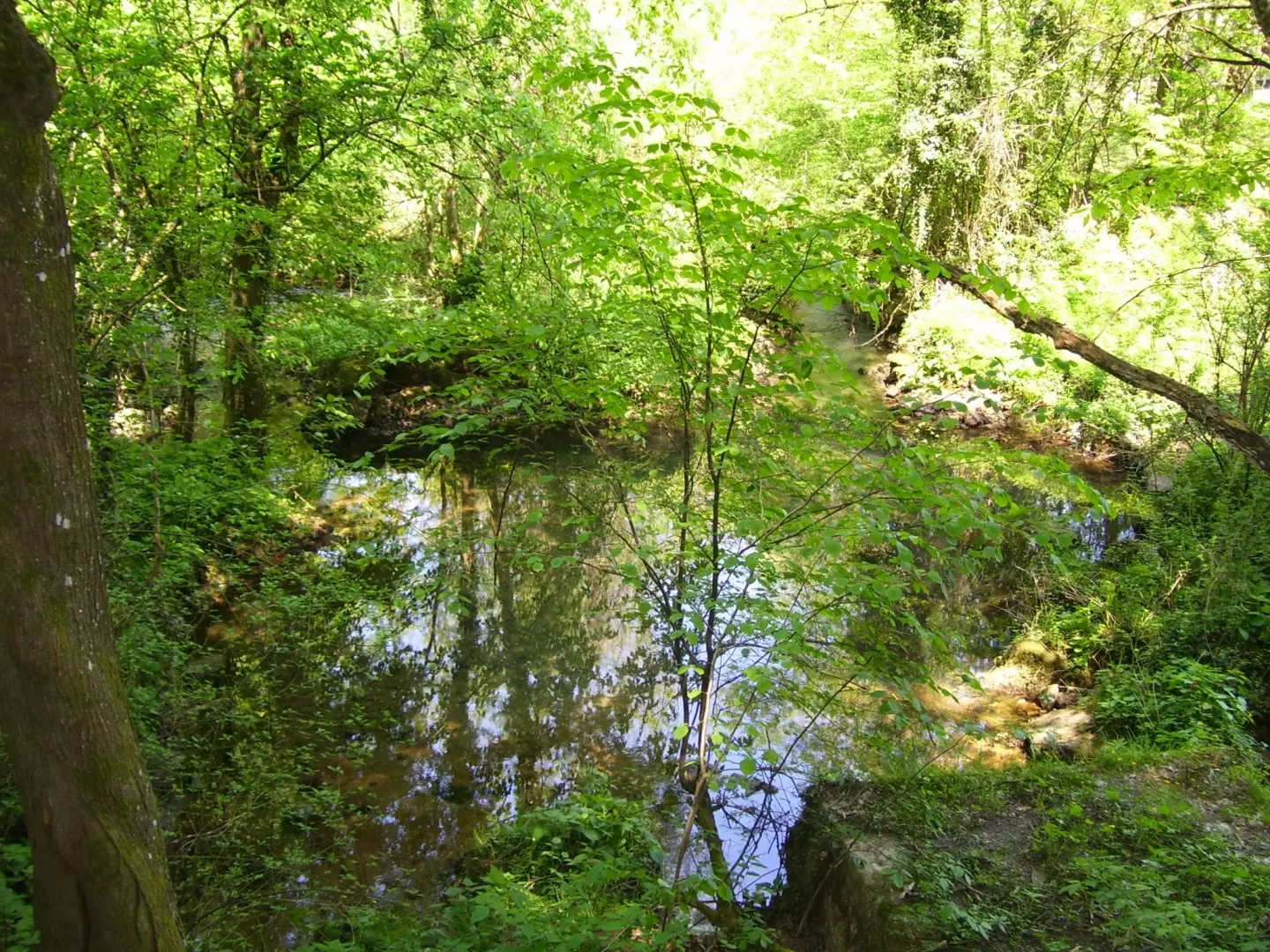 Land In Severin Na Kupi, Croatia (73.000 M²)