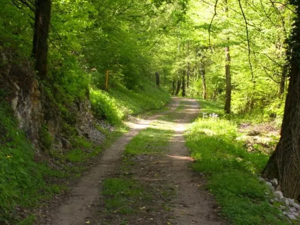 Land In Severin Na Kupi, Croatia (73.000 M²)
