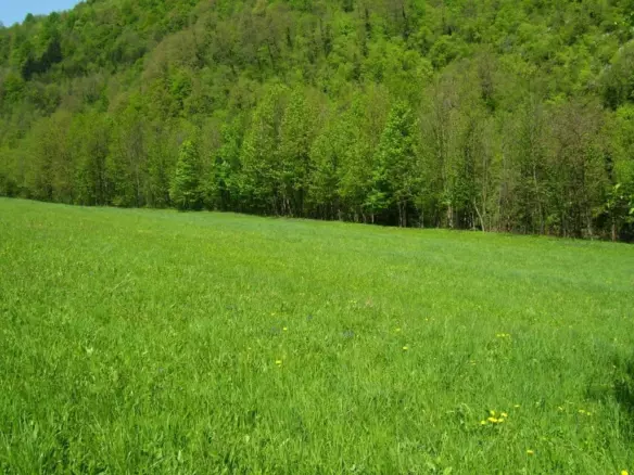 Land In Severin Na Kupi, Croatia (73.000 M²)