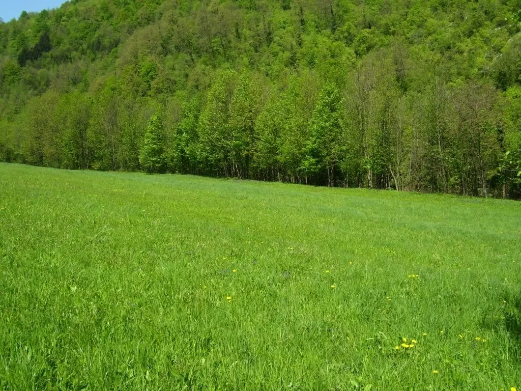 Land In Severin Na Kupi, Croatia (73.000 M²)