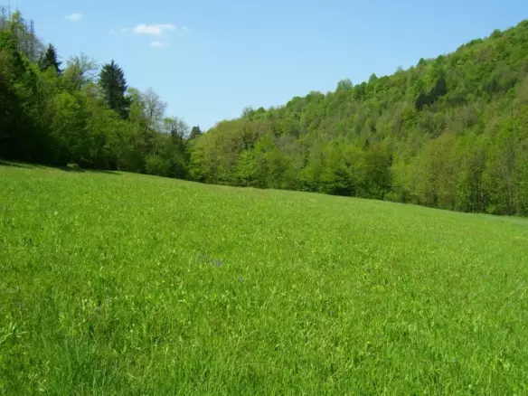 Land In Severin Na Kupi, Croatia (73.000 M²)