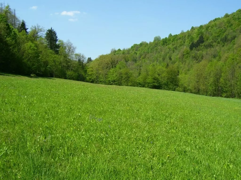 Land In Severin Na Kupi, Croatia (73.000 M²)