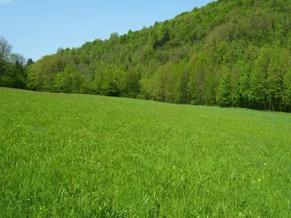Land In Severin Na Kupi, Croatia (73.000 M²)