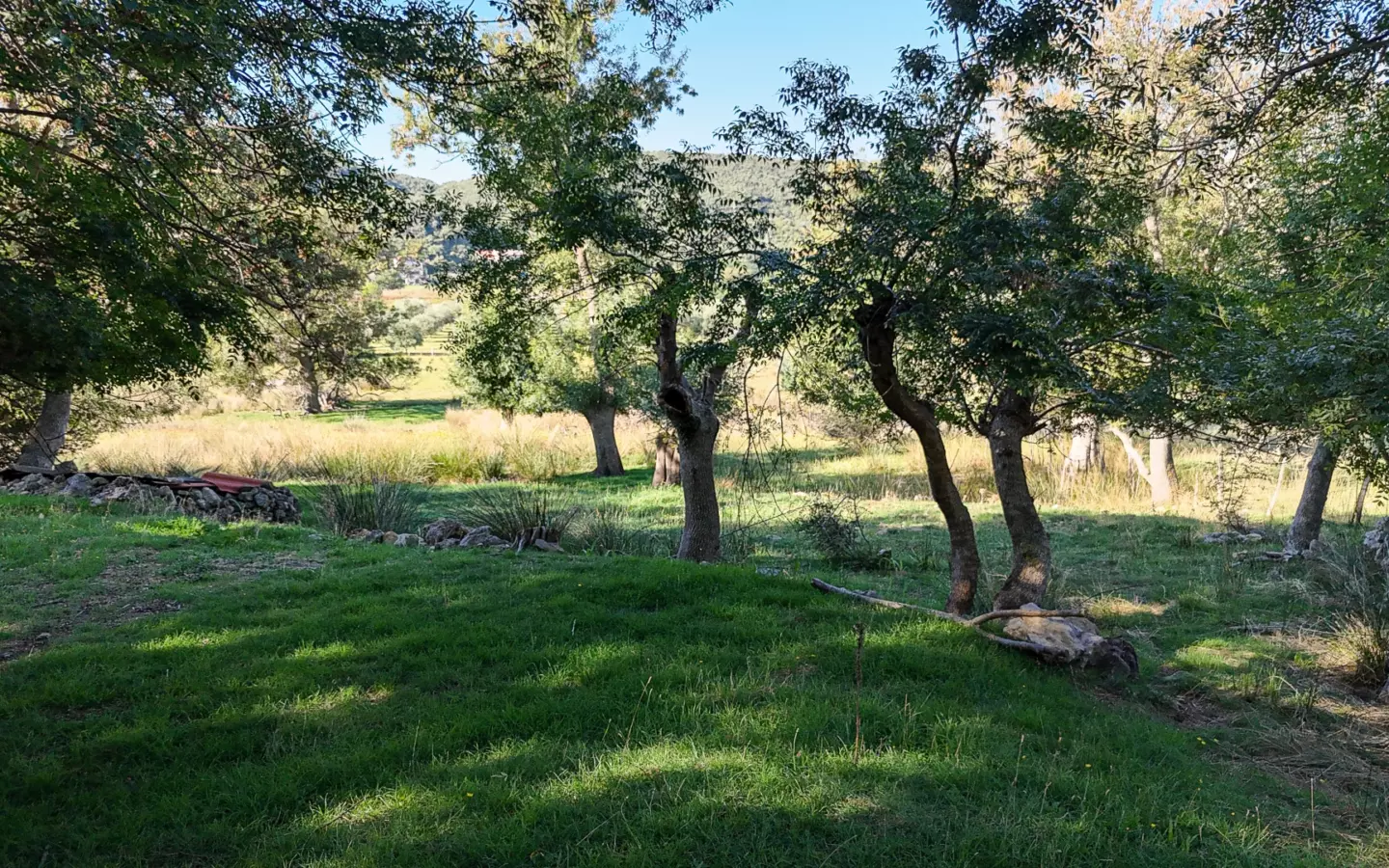 Land In Supetarska Draga, Croatia (6.500 M²)