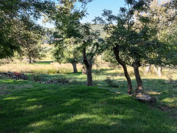 Land In Supetarska Draga, Croatia (6.500 M²)