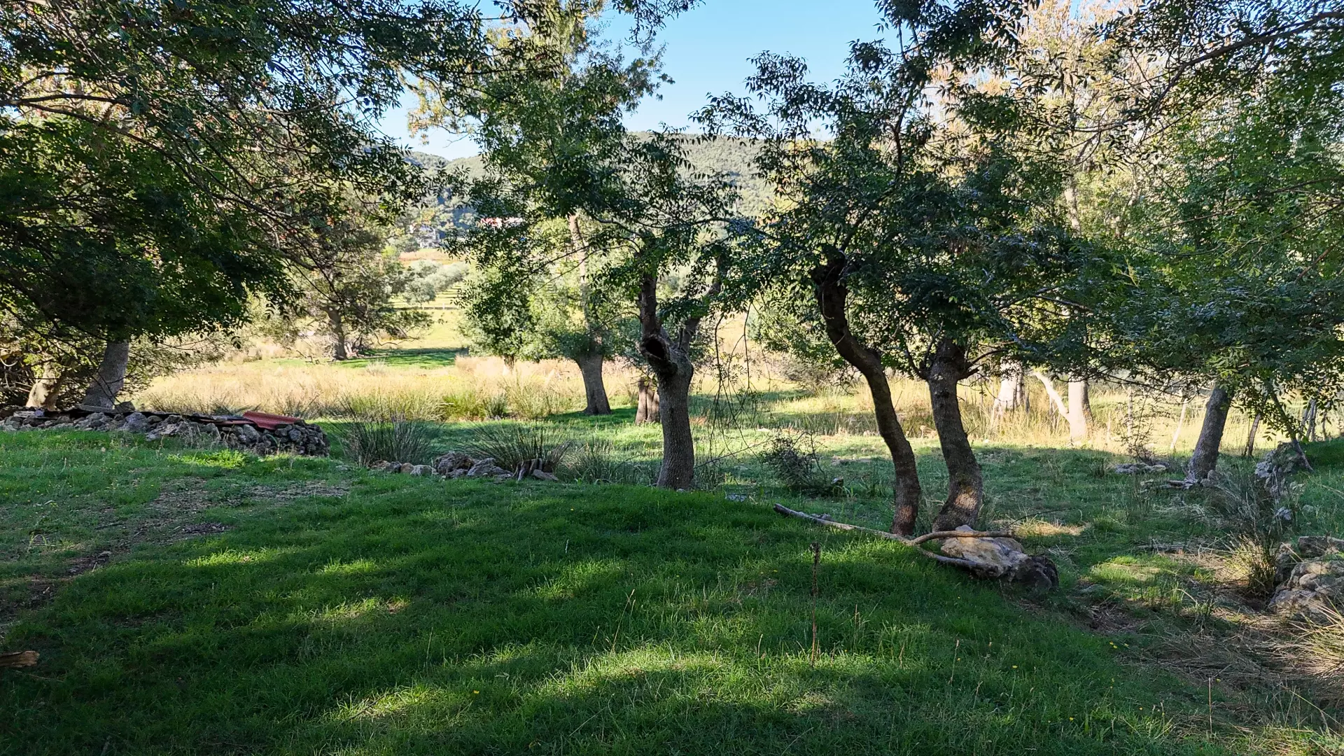 Land In Supetarska Draga, Croatia (6.500 M²)