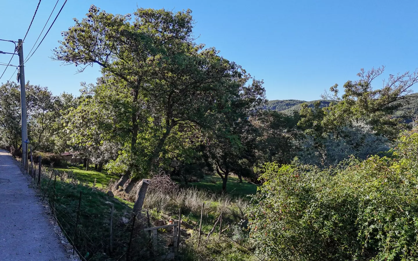 Land In Supetarska Draga, Croatia (6.500 M²)