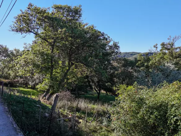 Land In Supetarska Draga, Croatia (6.500 M²)
