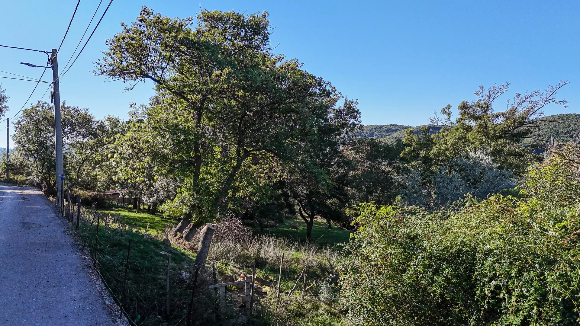 Land In Supetarska Draga, Croatia (6.500 M²)
