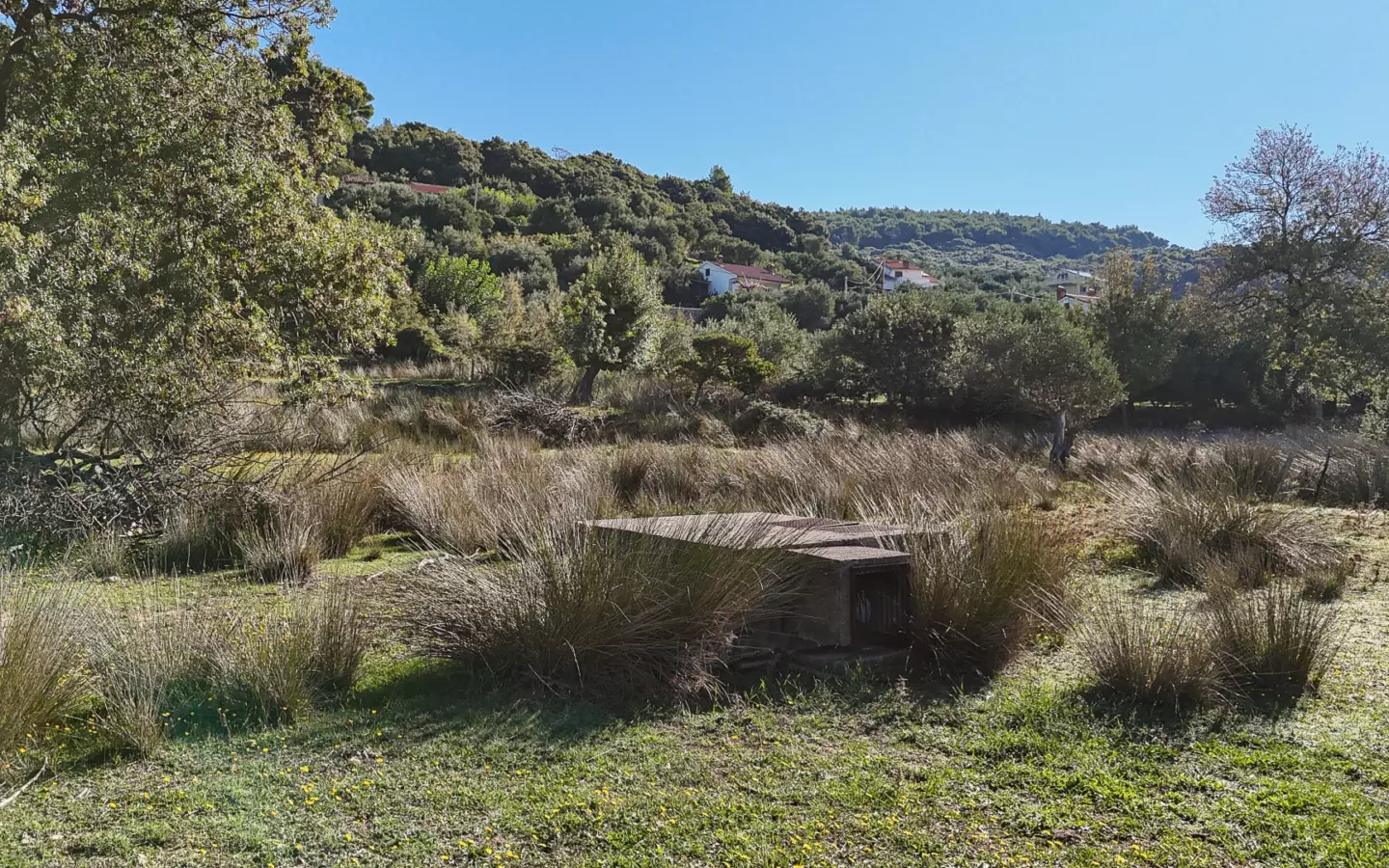 Land In Supetarska Draga, Croatia (6.500 M²)
