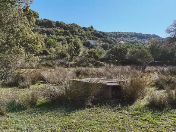 Land In Supetarska Draga, Croatia (6.500 M²)