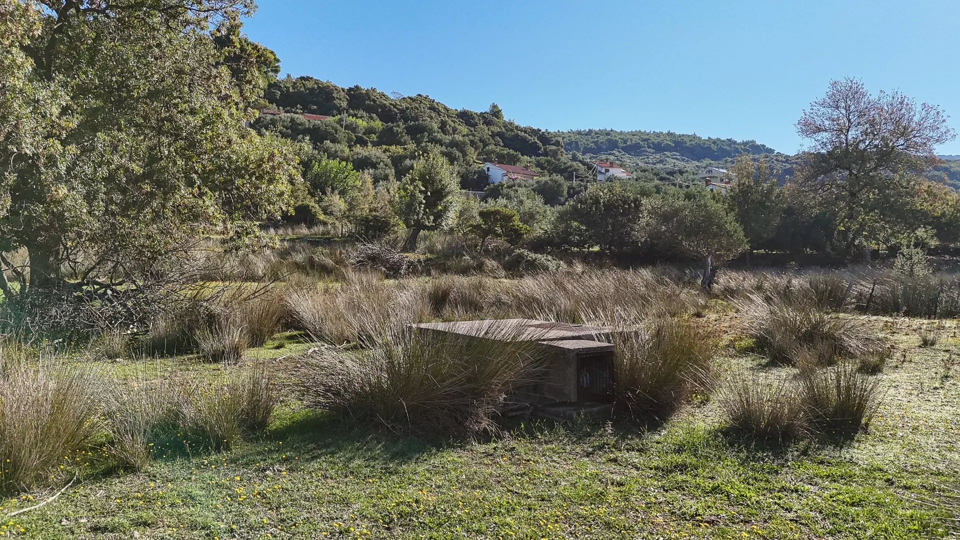 Land In Supetarska Draga, Croatia (6.500 M²)