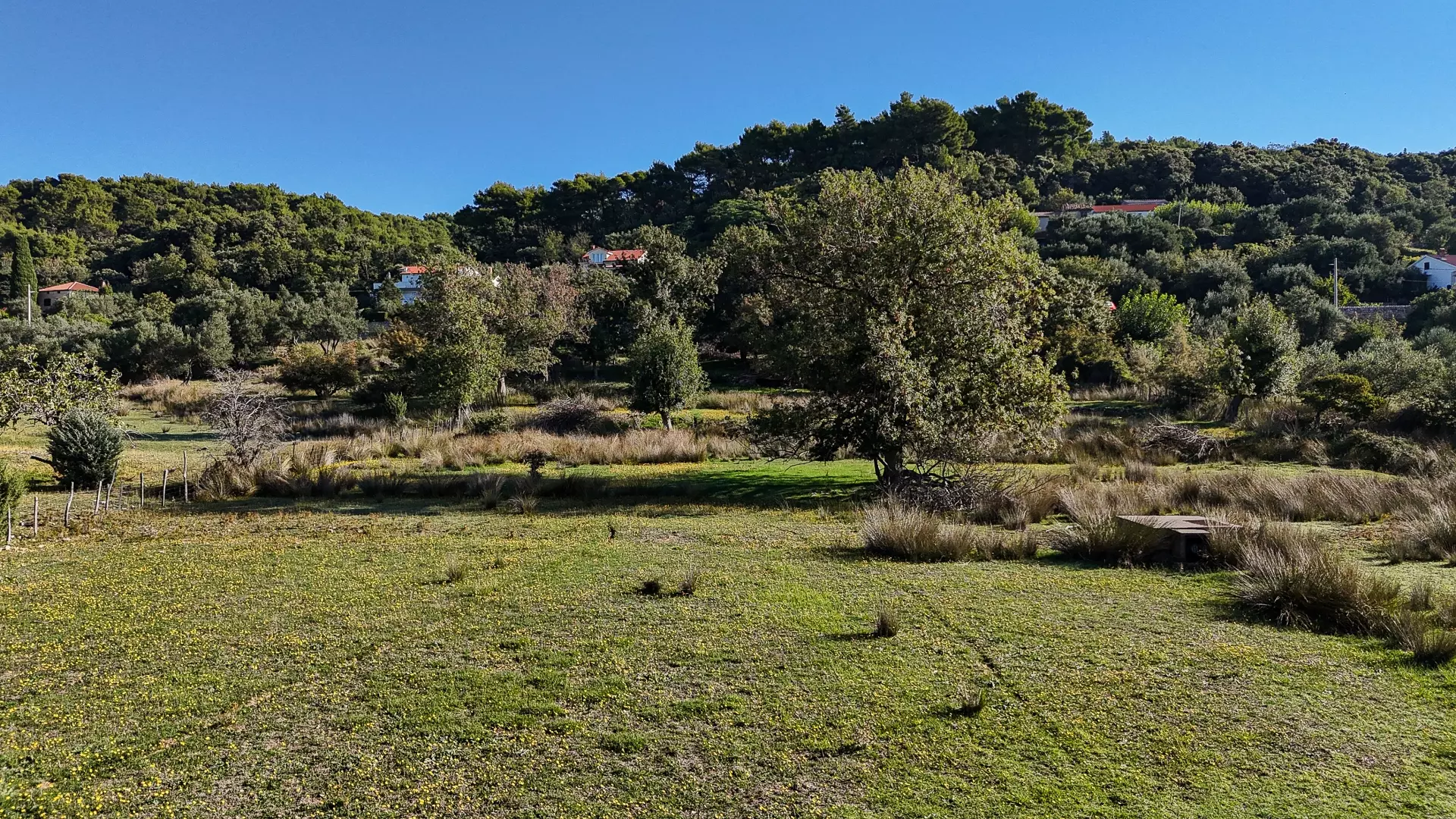 Land In Supetarska Draga, Croatia (6.500 M²)