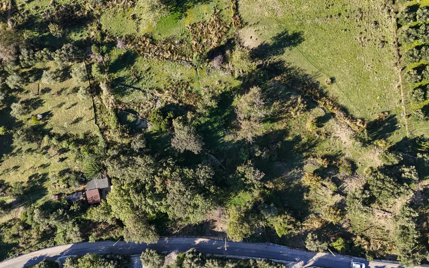 Land In Supetarska Draga, Croatia (6.500 M²)