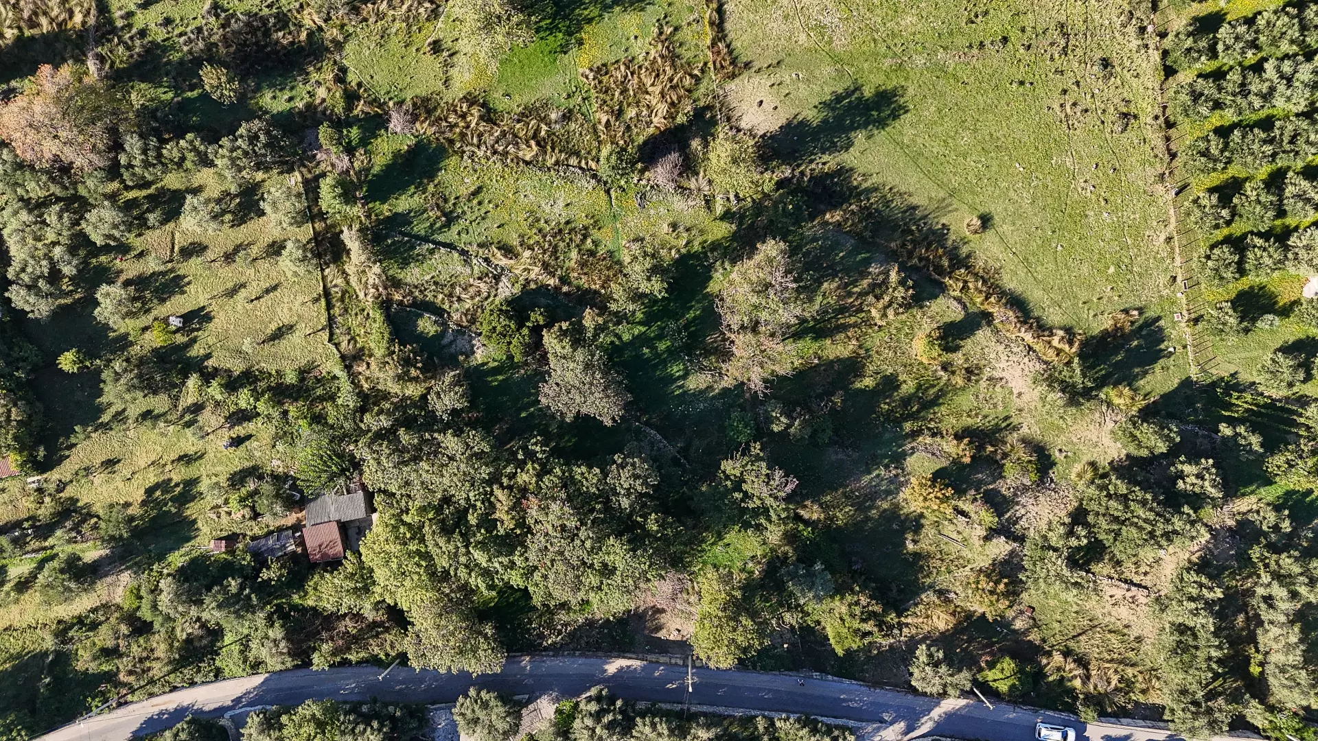 Land In Supetarska Draga, Croatia (6.500 M²)