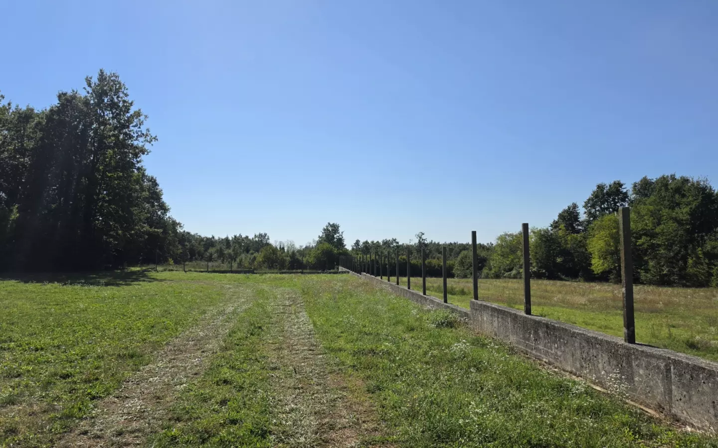 Land In Barban, Croatia (5.895 M²)