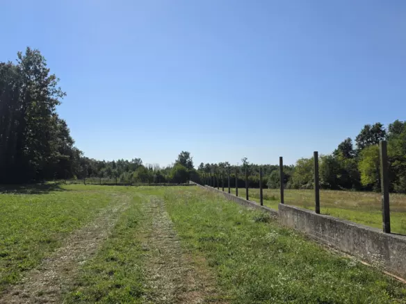 Land In Barban, Croatia (5.895 M²)