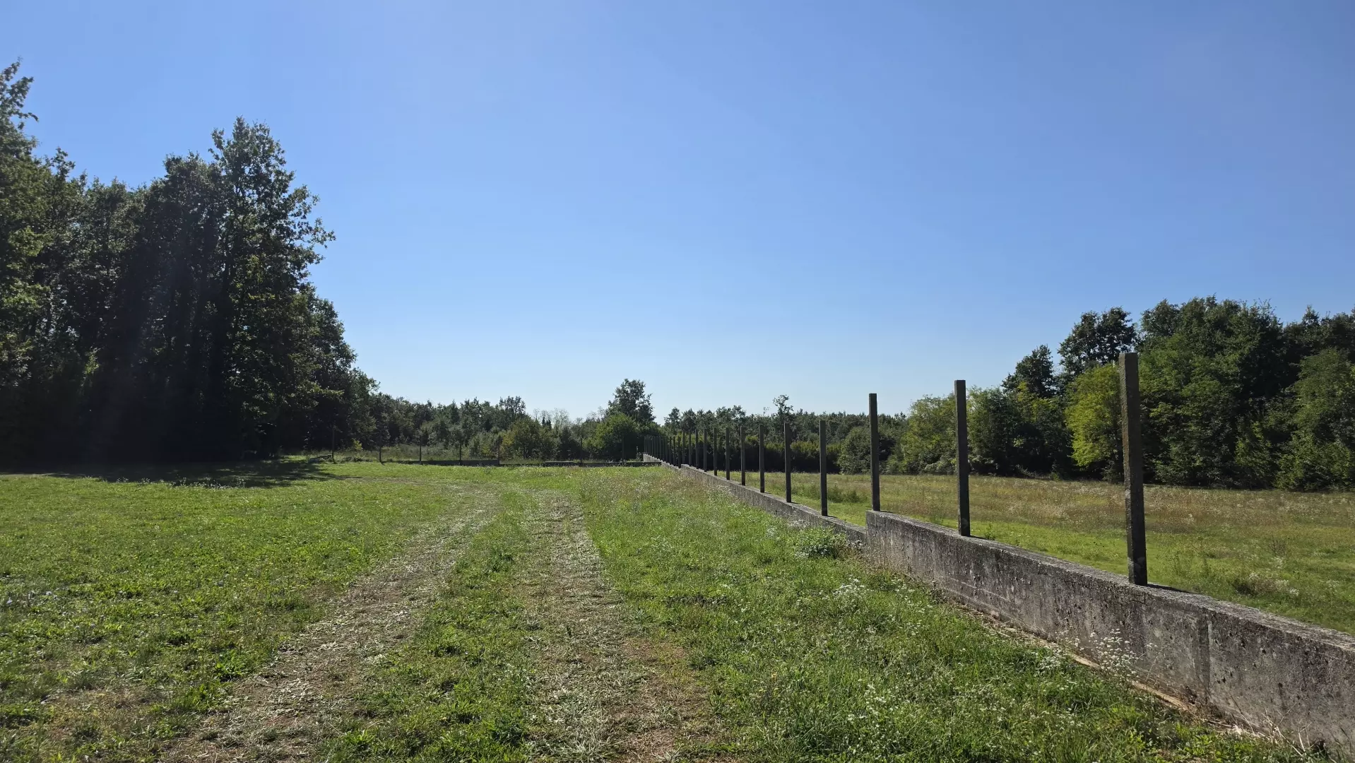 Land In Barban, Croatia (5.895 M²)