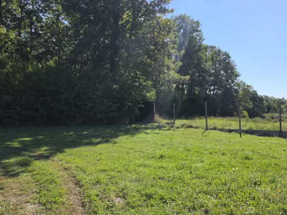 Land In Barban, Croatia (5.895 M²)