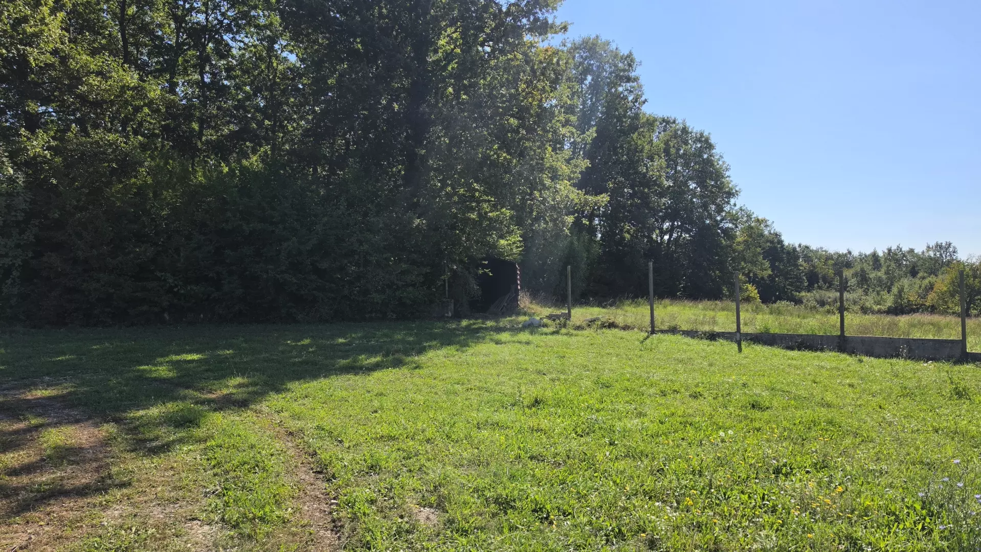Land In Barban, Croatia (5.895 M²)
