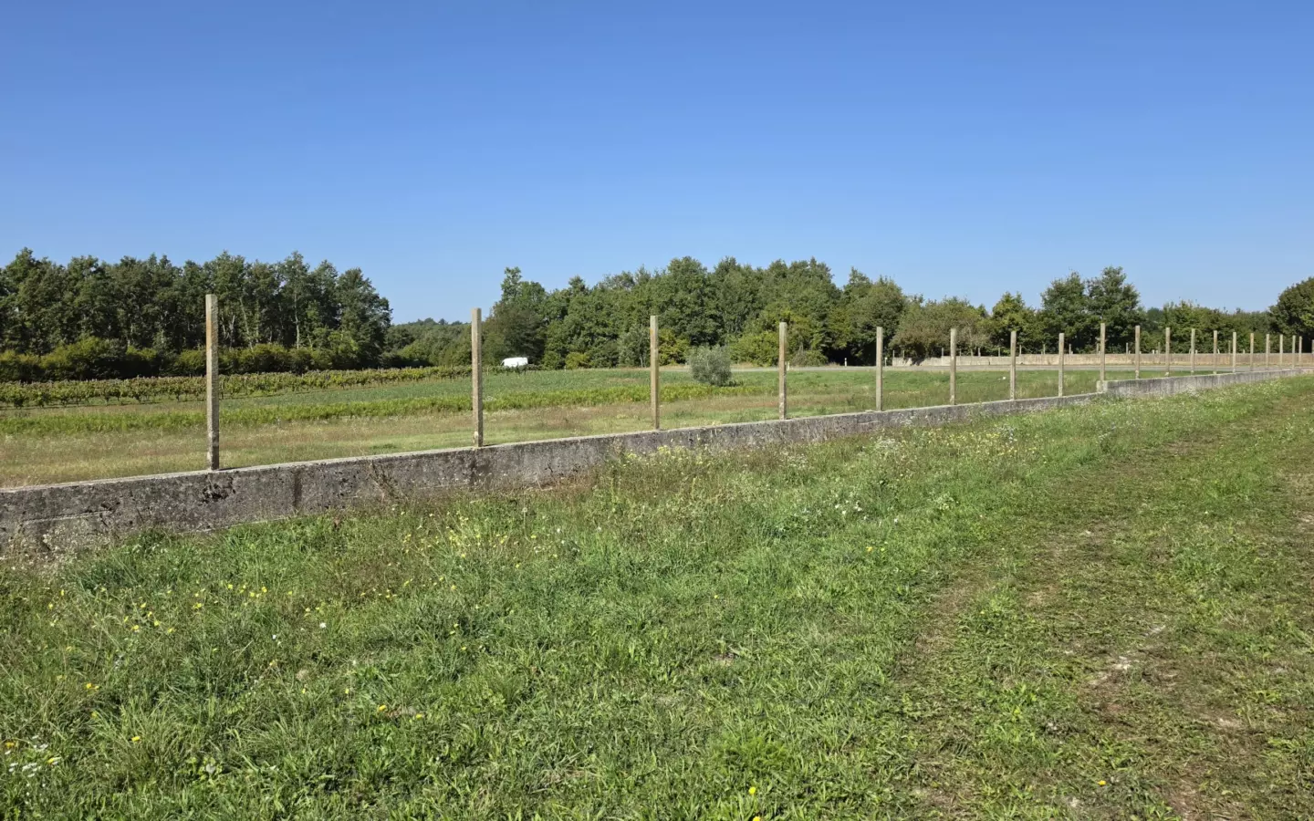 Land In Barban, Croatia (5.895 M²)