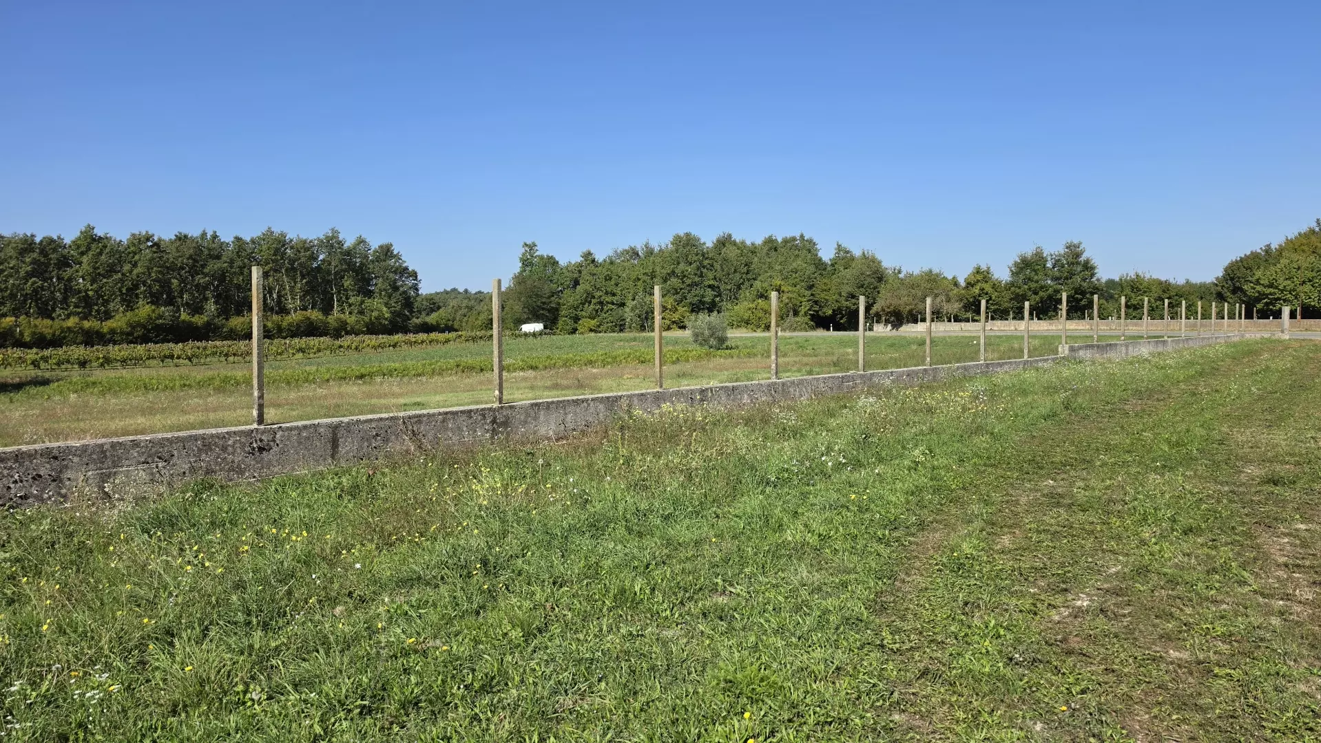 Land In Barban, Croatia (5.895 M²)