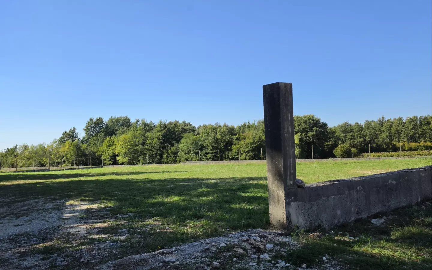 Land In Barban, Croatia (5.895 M²)