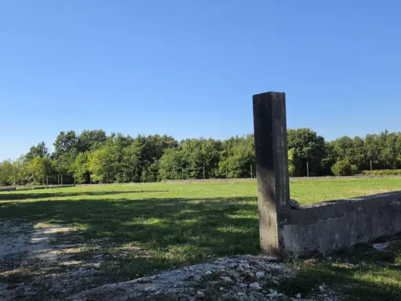 Land In Barban, Croatia (5.895 M²)