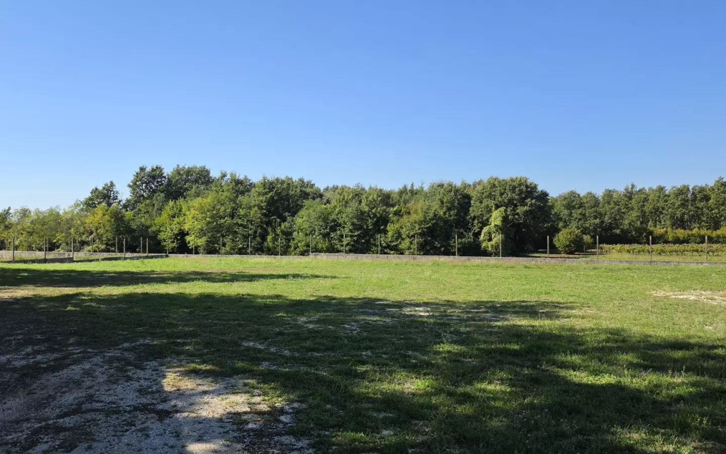Land In Barban, Croatia (5.895 M²)