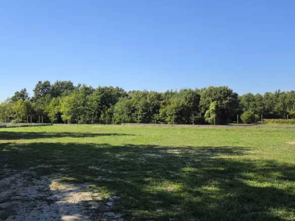 Land In Barban, Croatia (5.895 M²)