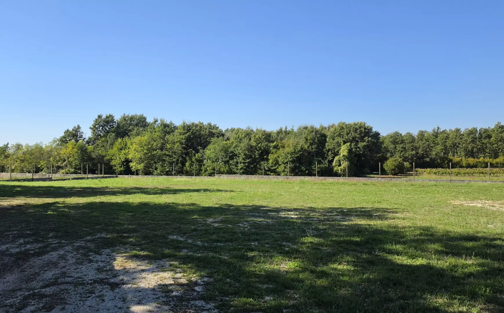 Land In Barban, Croatia (5.895 M²)