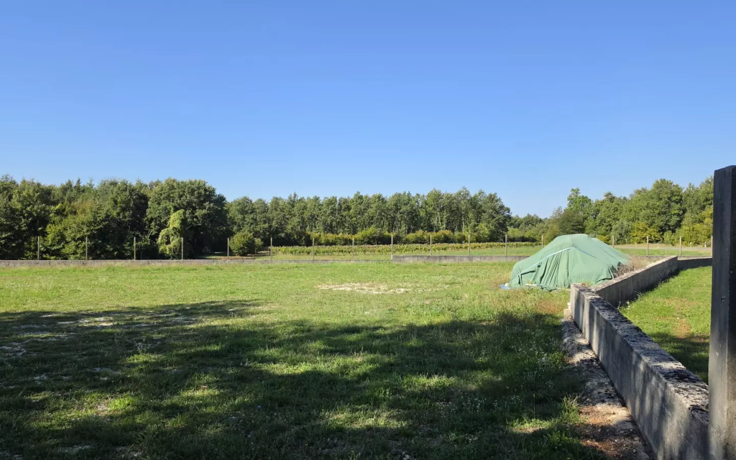 Land In Barban, Croatia (5.895 M²)