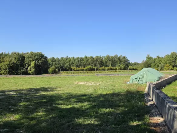 Land In Barban, Croatia (5.895 M²)