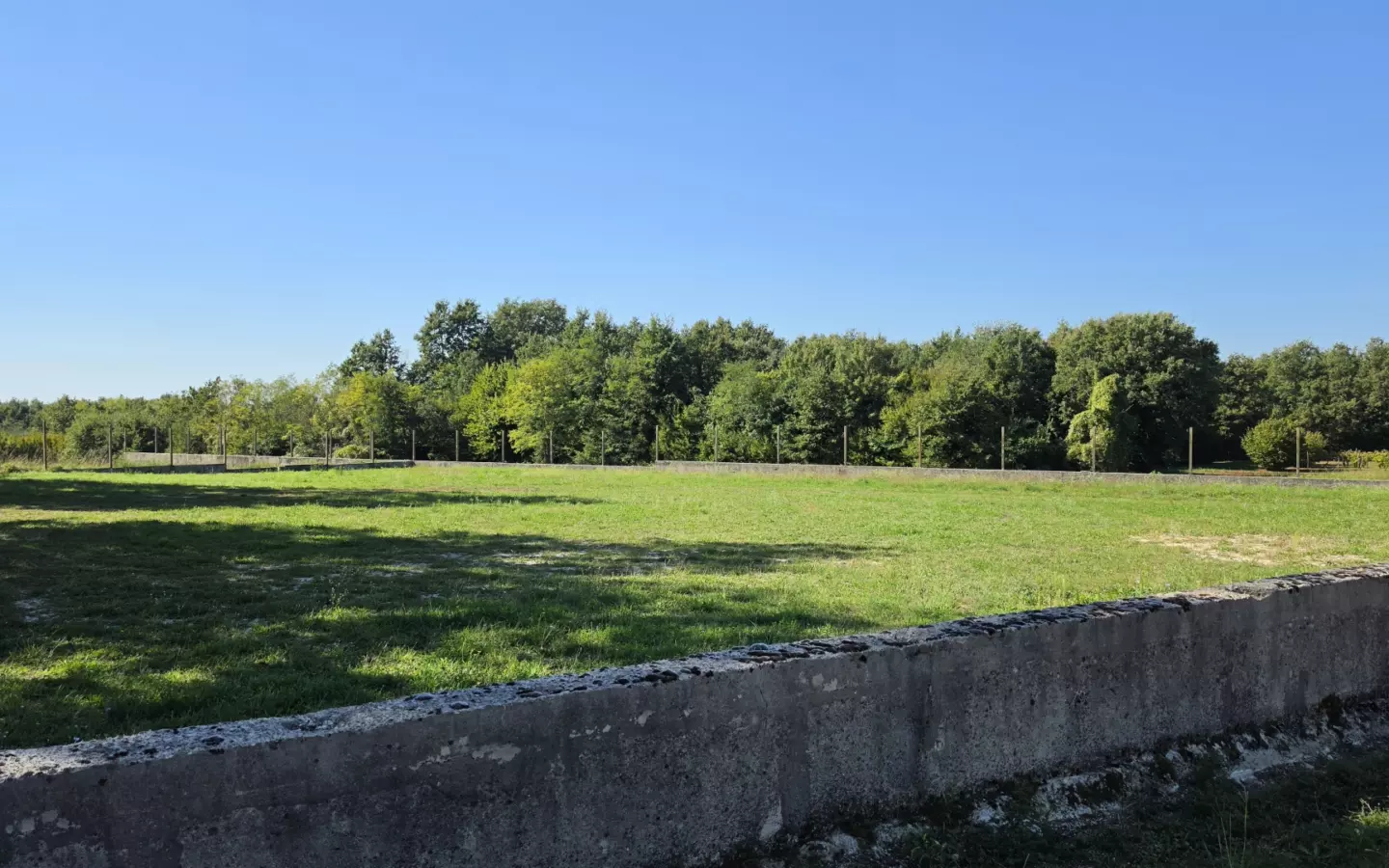 Land In Barban, Croatia (5.895 M²)
