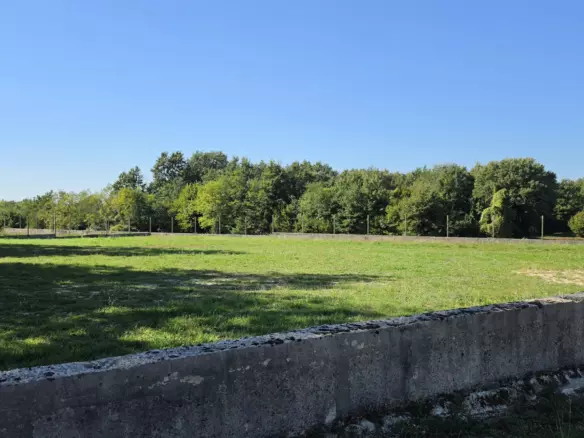 Land In Barban, Croatia (5.895 M²)