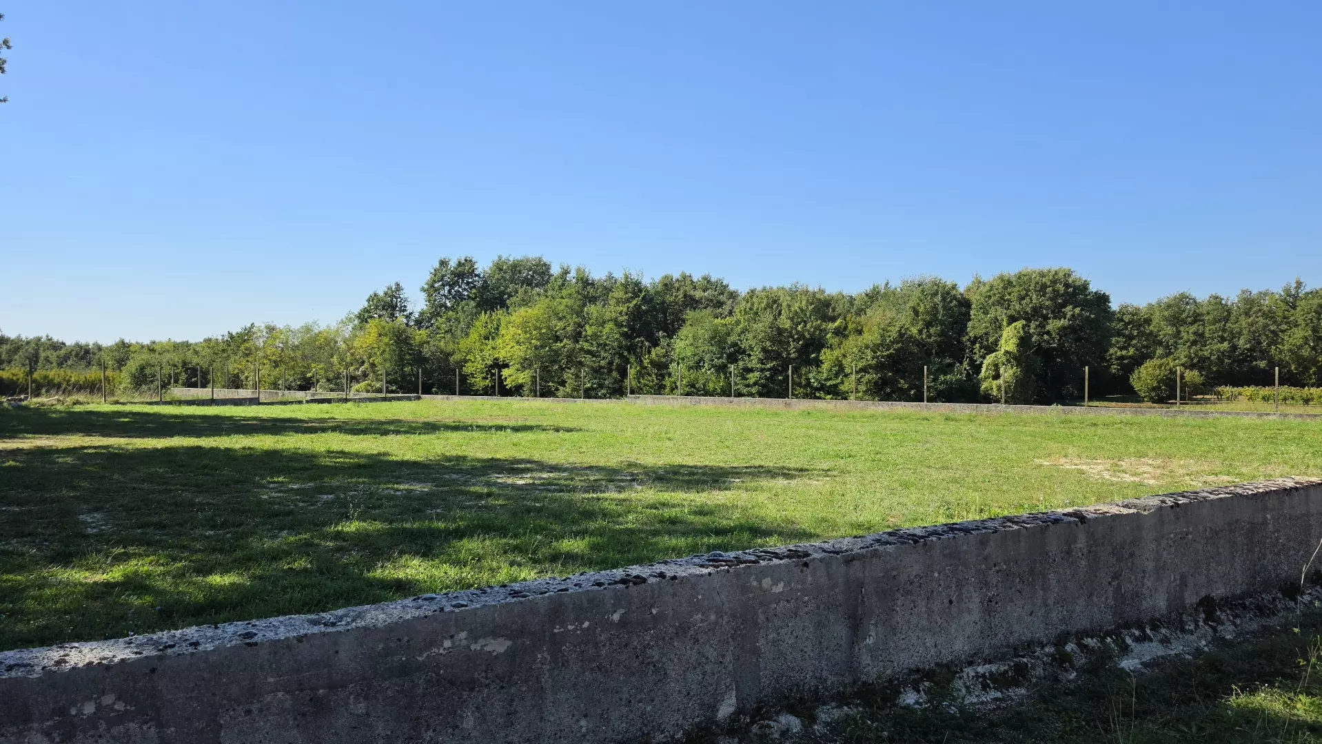 Land In Barban, Croatia (5.895 M²)