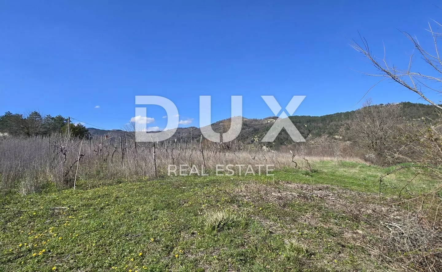 Land In Pićan, Croatia (461 M²)
