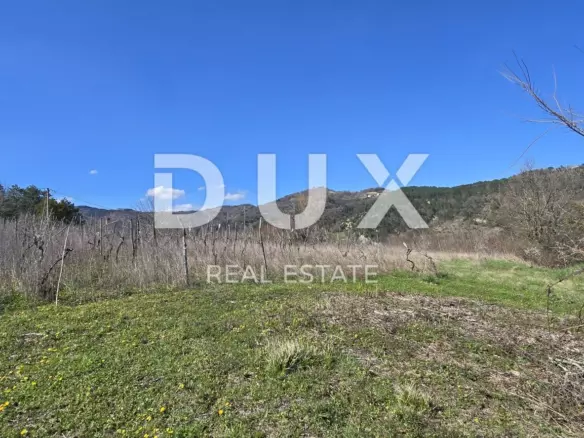 Land In Pićan, Croatia (461 M²)