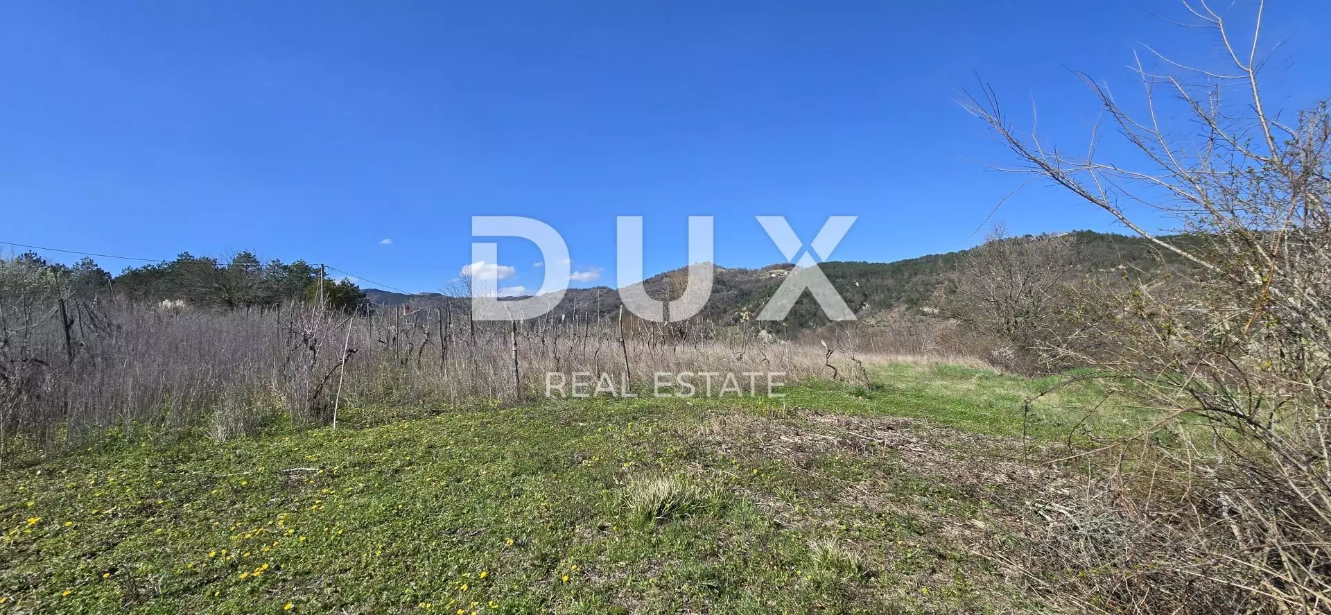Land In Pićan, Croatia (461 M²)