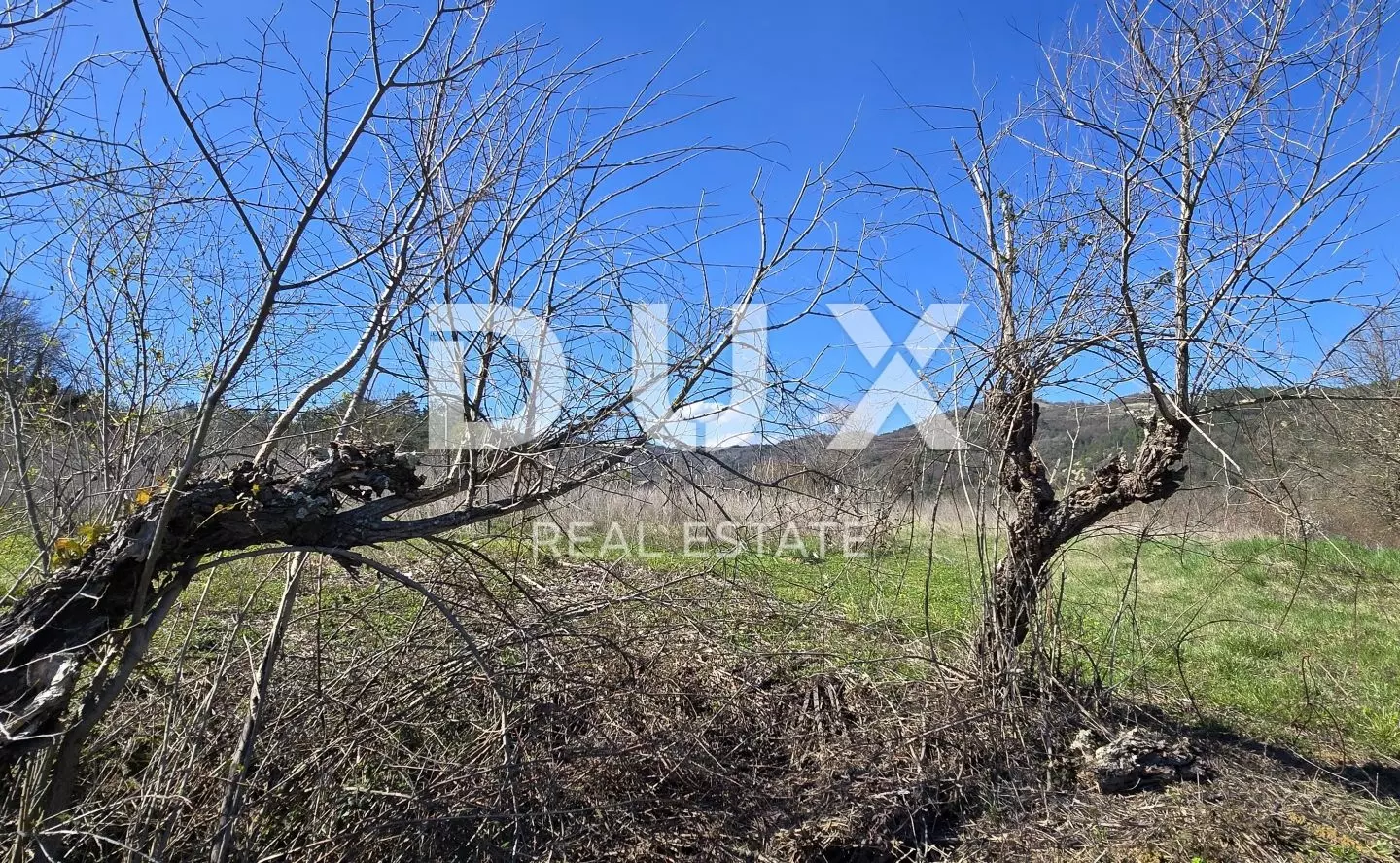 Land In Pićan, Croatia (461 M²)