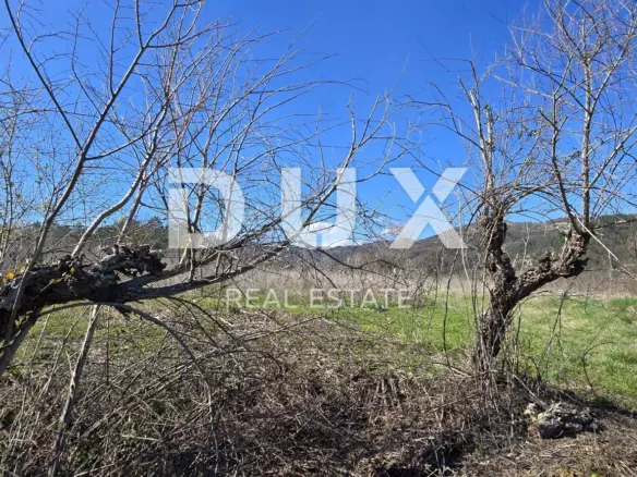 Land In Pićan, Croatia (461 M²)