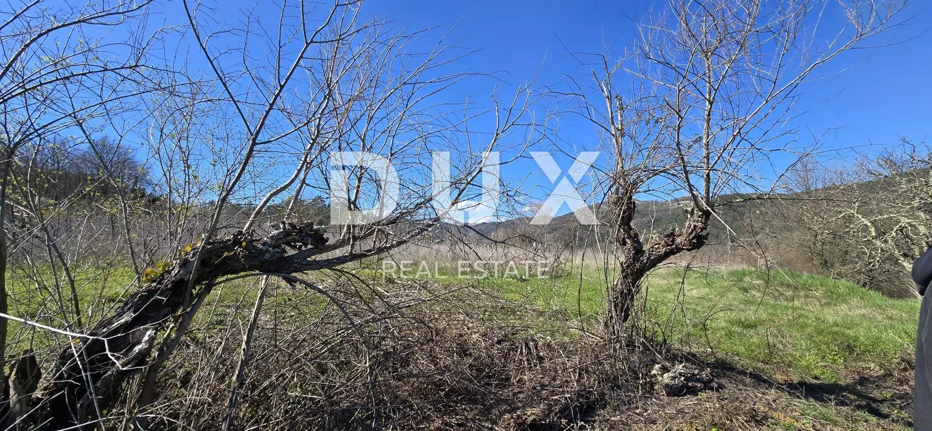 Land In Pićan, Croatia (461 M²)