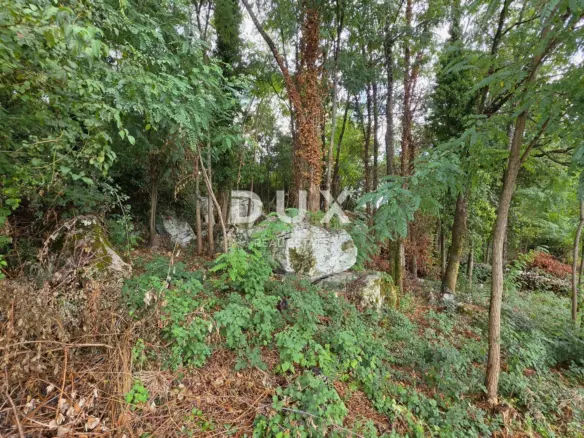 Land In Pićan, Croatia (1.364 M²)