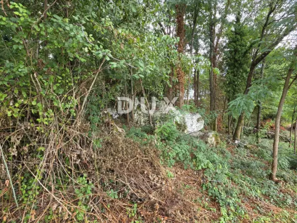 Land In Pićan, Croatia (1.364 M²)