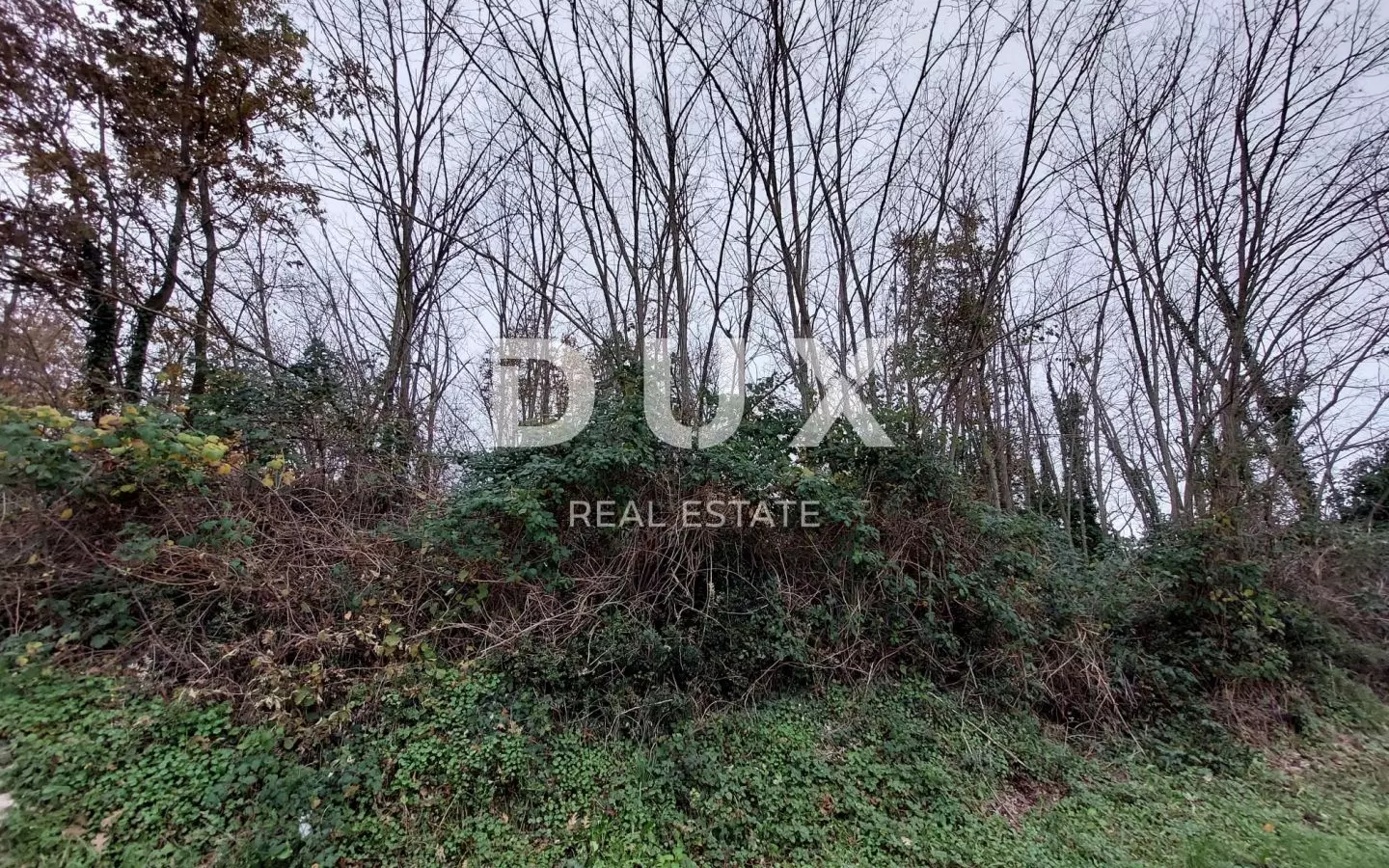 Land In Pićan, Croatia (1.364 M²)