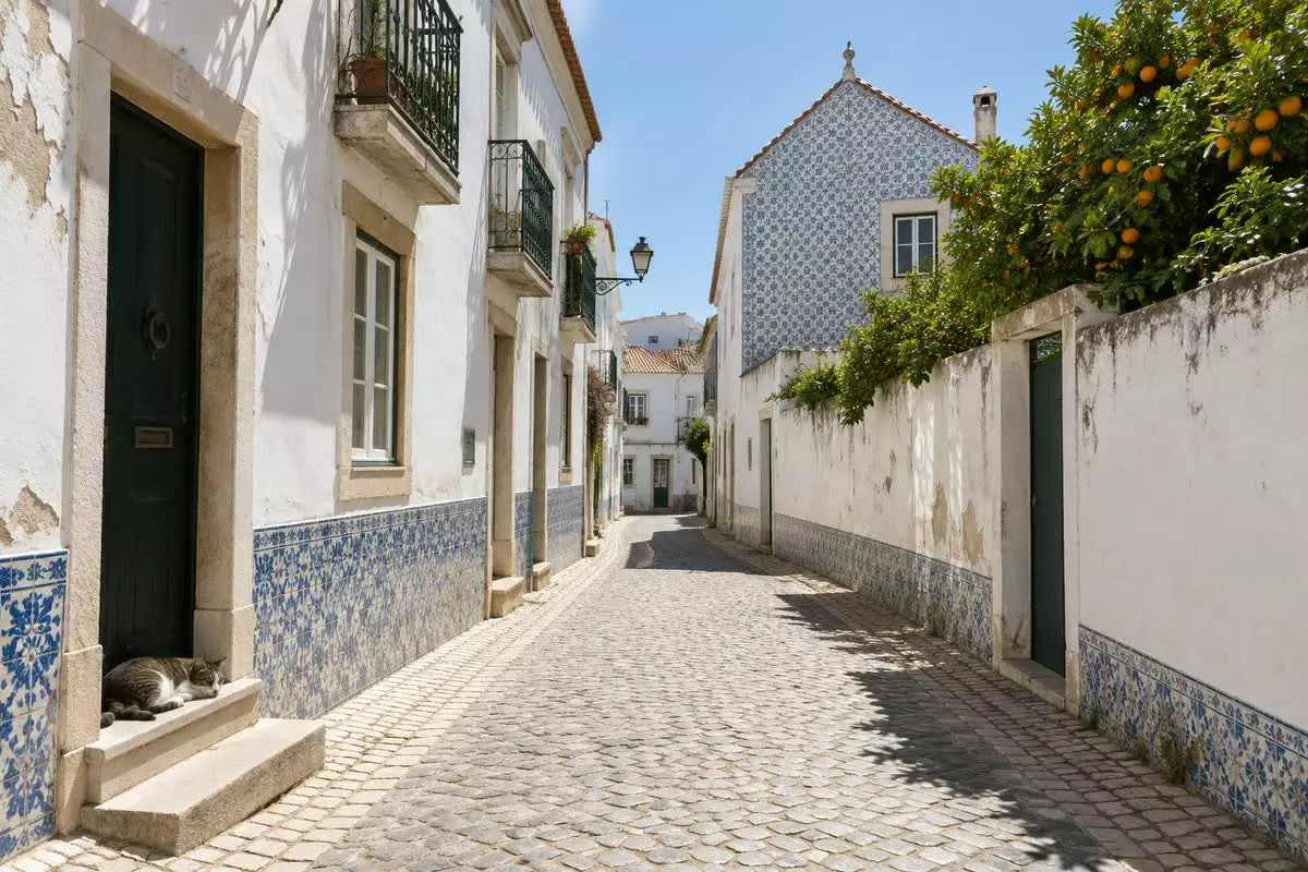 A narrow southern Portuguese street with azulejo skirting and an orange tree in Faro (illustration)